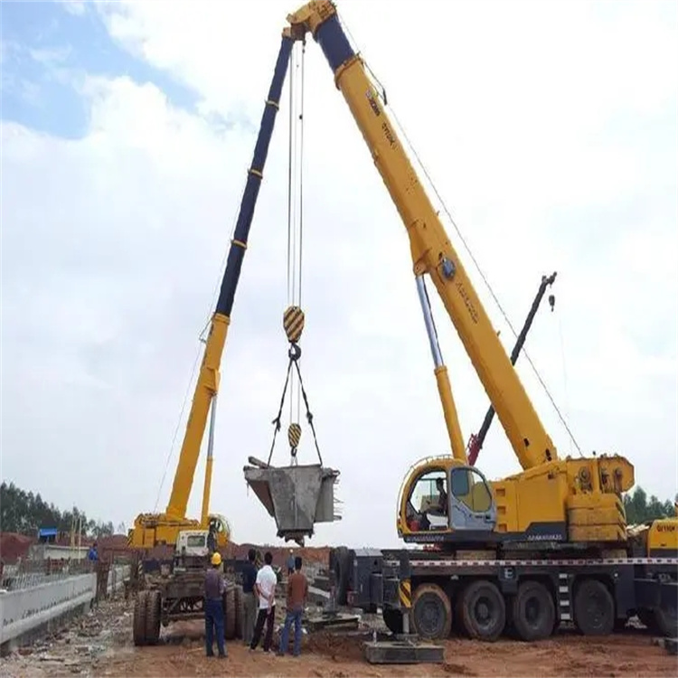 凌云小型吊机出租电话|厂房设备吊装方案|24小时服务覆盖