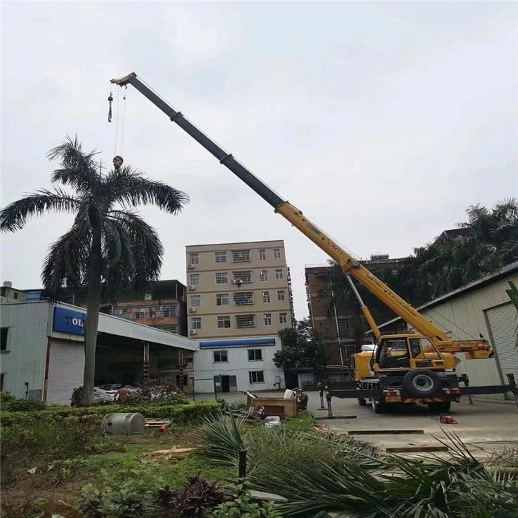 凌云吊车吊大树几种方法